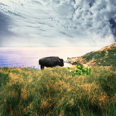 Photography by Patti Dietrick
